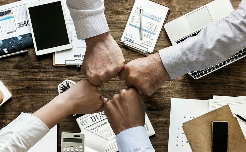 Wirtschaftswissenschaften