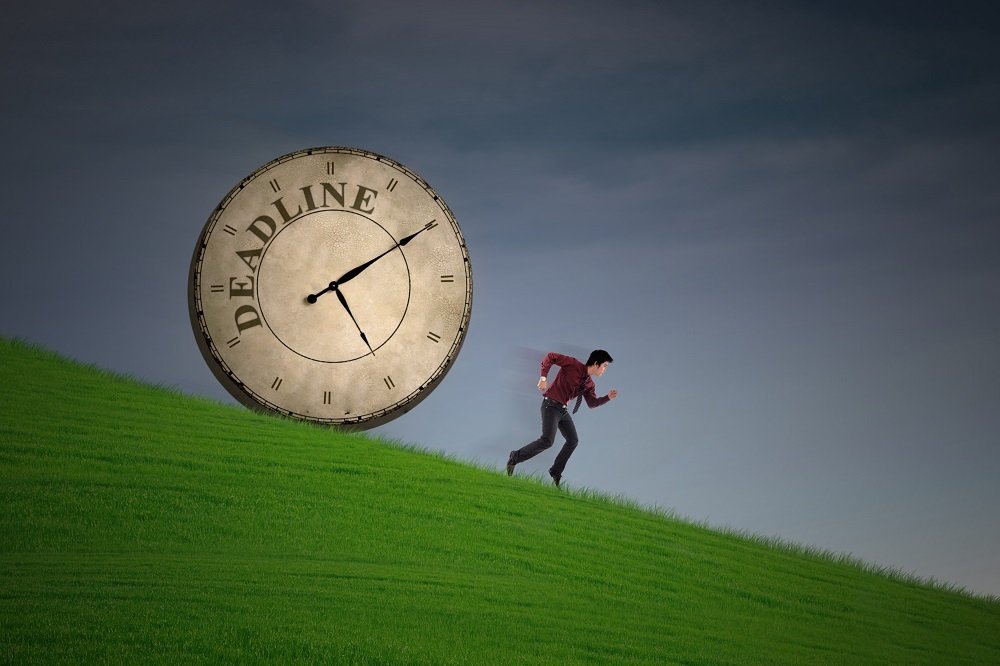 Zu welchem Zeitpunkt benötigen Sie die fertige Arbeit?